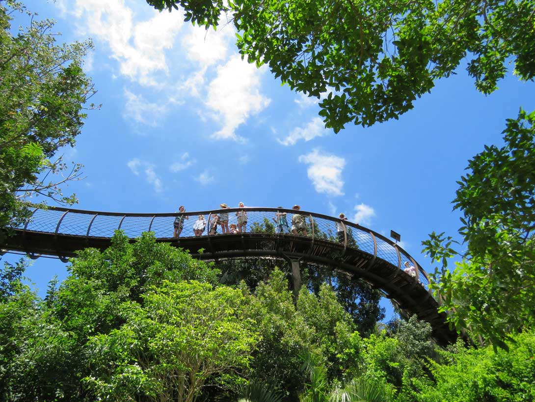 Botanical Tours